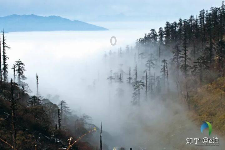 权力与纷争